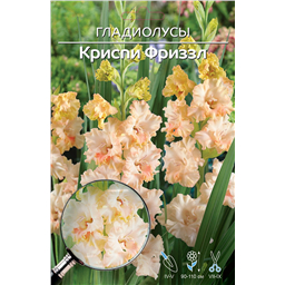 Криспи Фриззл