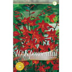 Крокосмия Принцесса