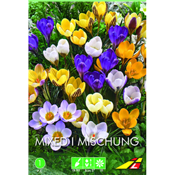 Крокус Смесь ботанических крокусов(упаковка мини)