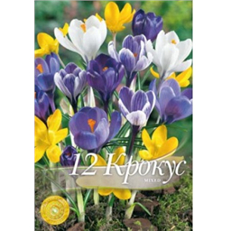 Крокус смесь