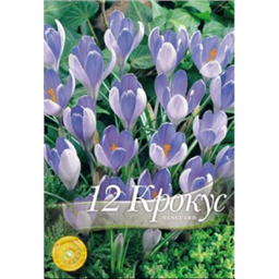 Крокус Вангуард