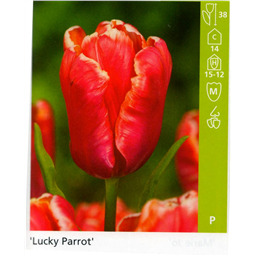 Лаки Пэррот