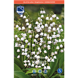 Ландыш Майский