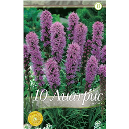 Лиатрис Спиката