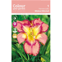 Лилейник Милдрэд Митчел