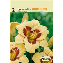 Лилейник Эль Десперадо