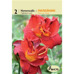 Лилейник Хайленд Лорд