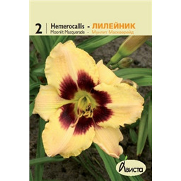 Лилейник Мунлайт Маскверейд