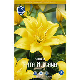 Лилия Фата Моргана