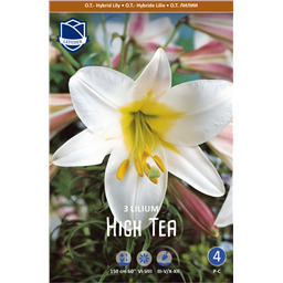 Лилия Хай Ти