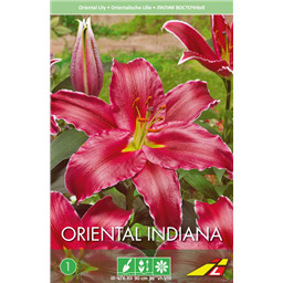 Лилия Индиана