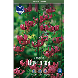 Лилия Мартагон