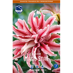 Лилия Мэджик Стар