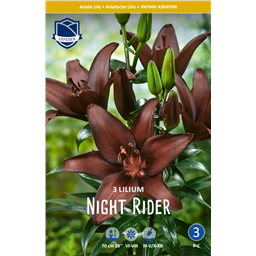 Лилия Найт Райдер