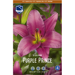 Лилия Парпл Принц 