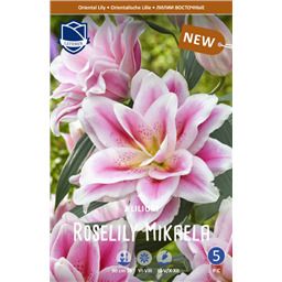 Лилия Розелли Микаэла