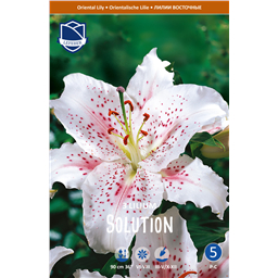 Лилия Солюшн