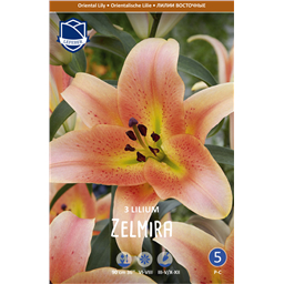 Лилия Зельмира