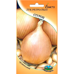 Лук репчатый Стурон