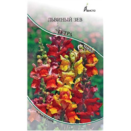 Львиный зев Тетра микс