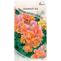 Львиный зев Твинни Бронз Шэйдс