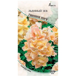 Львиный зев Твинни Пич