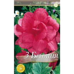 Махровая Пинк