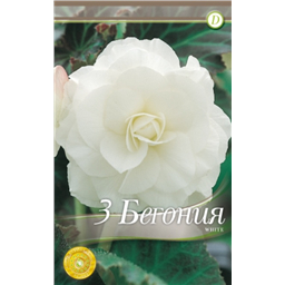 Махровая Уайт