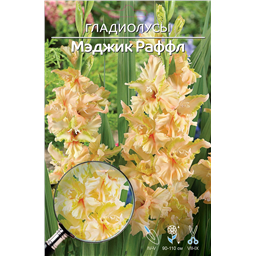 Мэджик Раффл