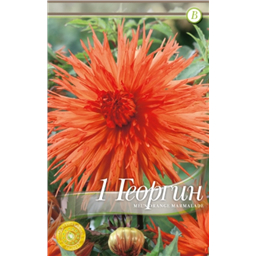 Мелз Оранж Мармелад