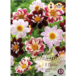 Микс георгин Воротничковых