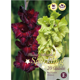 Микс гладиолусов Краcно-Зеленых