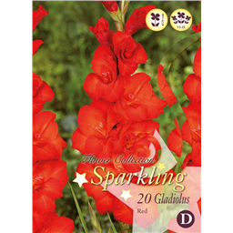 Микс гладиолусов Красных