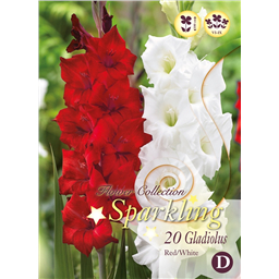 Микс гладиолусов Кросно-Белых