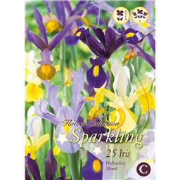 Микс  Голландских Ирисов