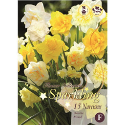 Микс нарциссов (Махровых)