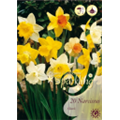 Микс нарциссов (Трубчатых)
