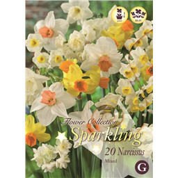 Микс нарциссов