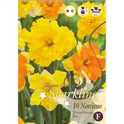 Микс нарциссов (Желто-Оранжевых)