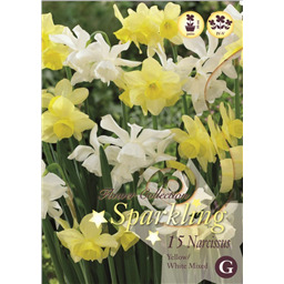 Микс нарциссов (Желтоо-Белых, Многоцветковых)