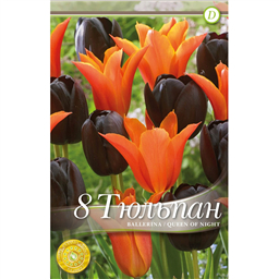 Микс тюльпанов (Баллерина/Куин оф Найт)