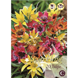 Микс тюльпанов (Ботанические)