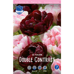 Микс Тюльпанов Дабл Контраст