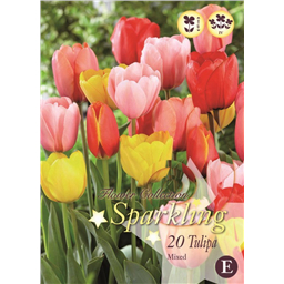 Микс тюльпанов (Дарвиновы гибриды)