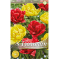 Микс тюльпанов (Йеллоу Помпонет/Миранда)(8шт.x20уп.)11/19