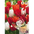 Микс тюльпанов (Красно-Оранжевых, Белых)