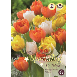 Микс тюльпанов (Оранжево-Желтых, Белых)