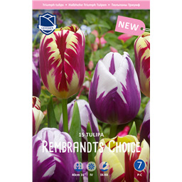 Микс Тюльпанов Рембрандт Чойз