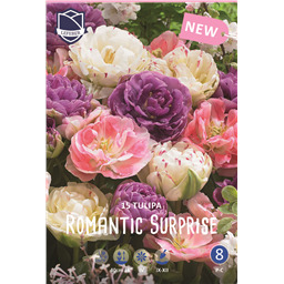 Микс Тюльпанов Романтик Сюрпрайз
