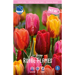 Микс Тюльпанов Роял Фламенс